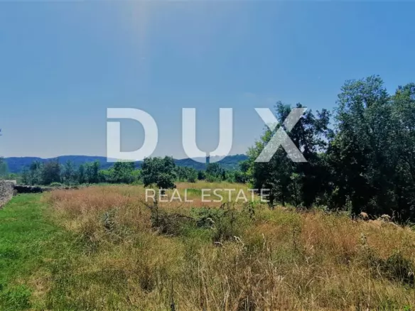 Land In Buzet, Croatia (2.892 M²)