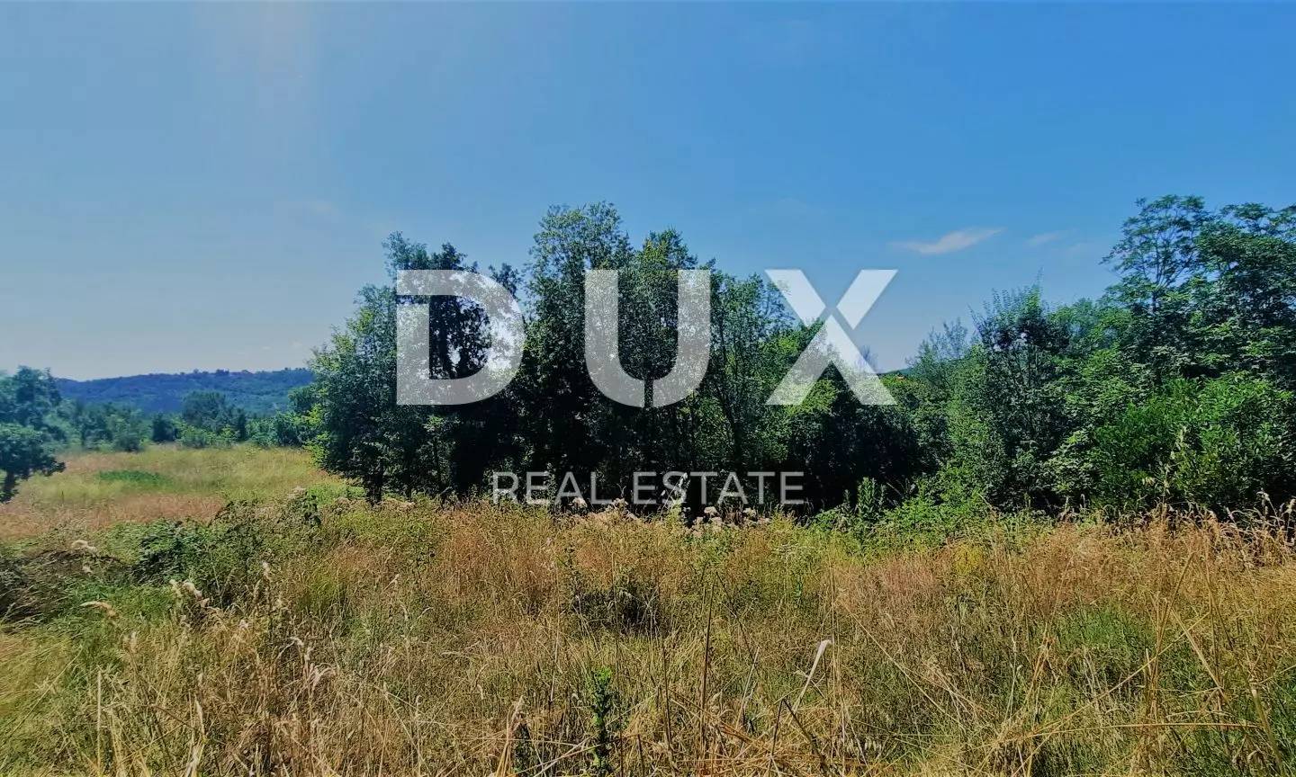 Land In Buzet, Croatia (2.892 M²)