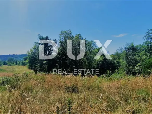 Land In Buzet, Croatia (2.892 M²)