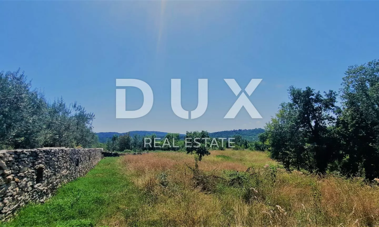 Land In Buzet, Croatia (2.892 M²)