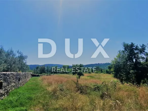Land In Buzet, Croatia (2.892 M²)