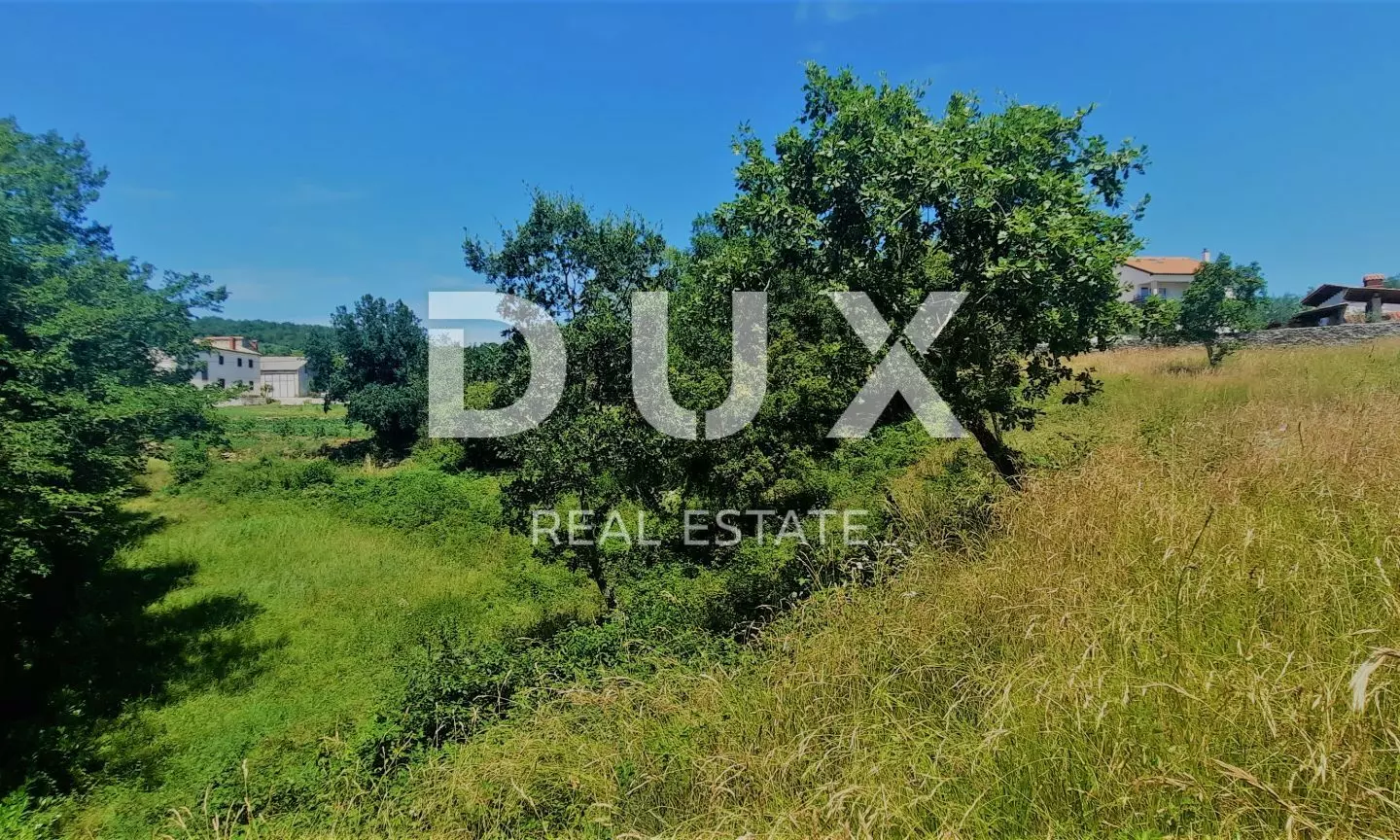 Land In Buzet, Croatia (2.892 M²)