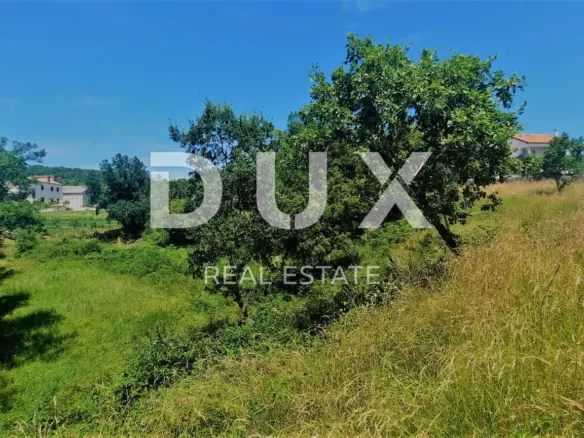 Land In Buzet, Croatia (2.892 M²)