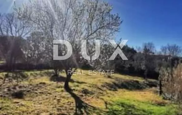 Land In Veli Vrh, Croatia (2.908 M²)