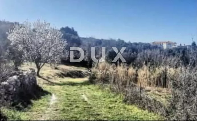 Land In Veli Vrh, Croatia (2.908 M²)