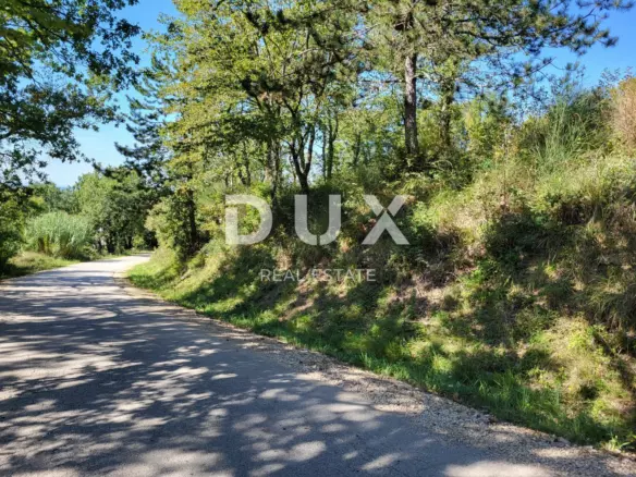 Land In Grožnjan, Croatia (1.546 M²)