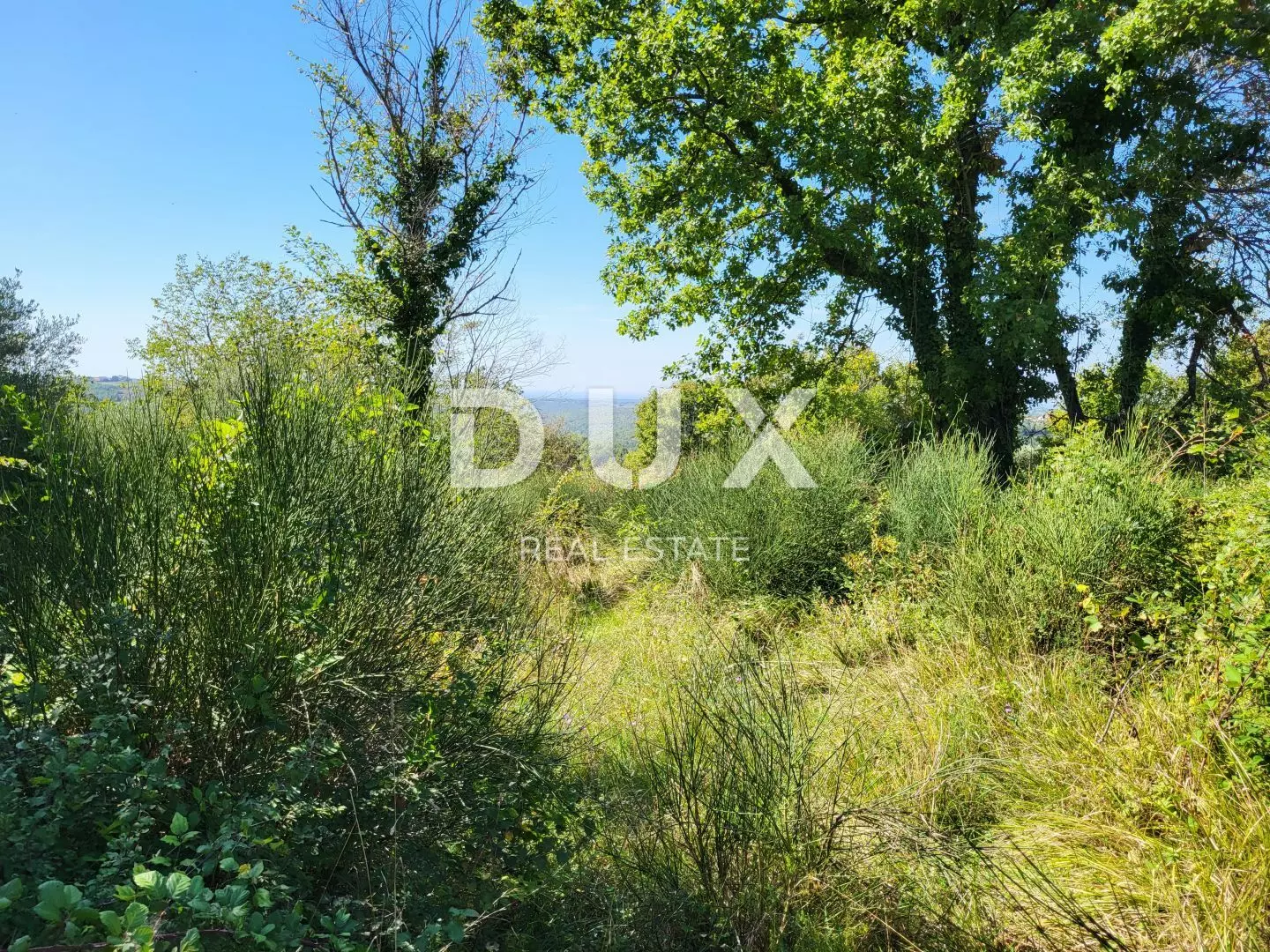 Land In Grožnjan, Croatia (1.546 M²)