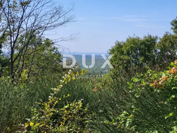Land In Grožnjan, Croatia (1.546 M²)