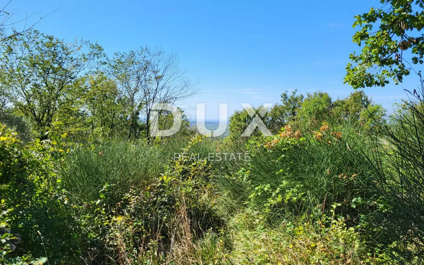 Land In Grožnjan, Croatia (1.546 M²)