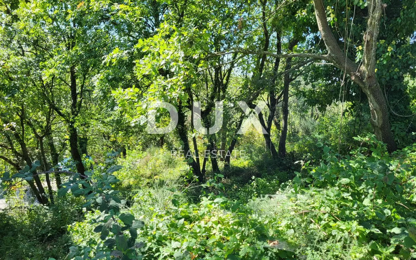 Land In Grožnjan, Croatia (1.546 M²)