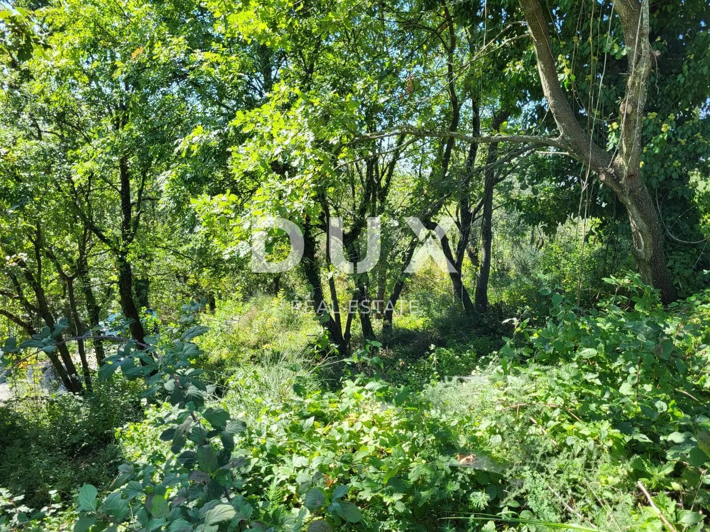 Land In Grožnjan, Croatia (1.546 M²)