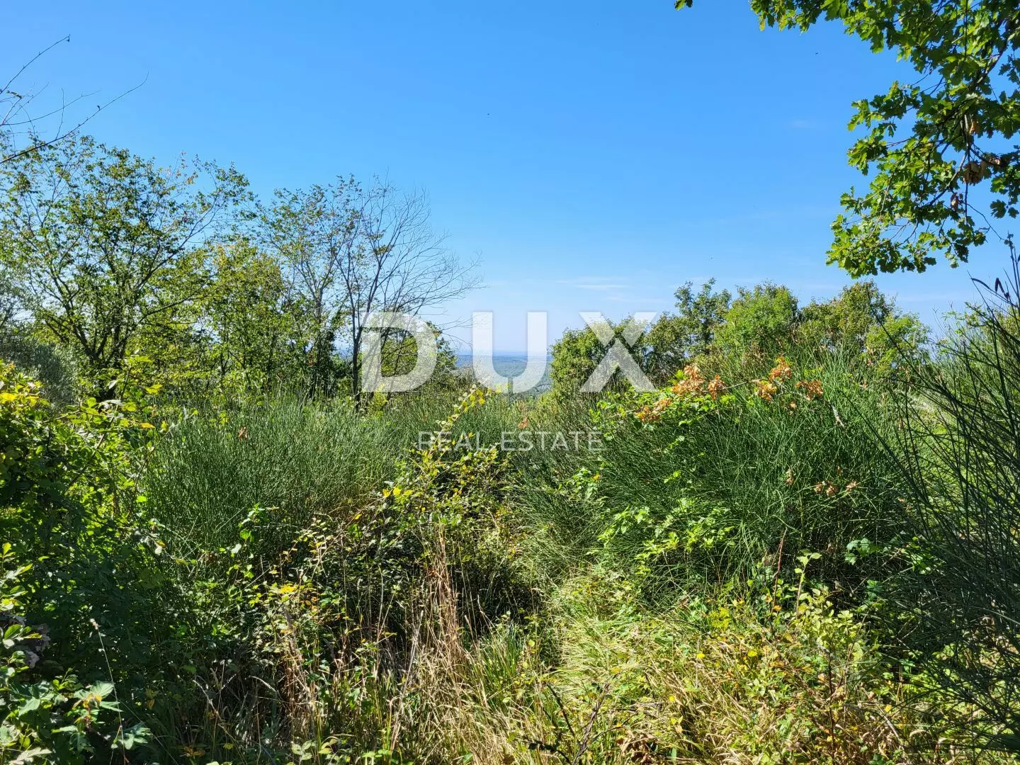 Land In Grožnjan, Croatia (3.092 M²)