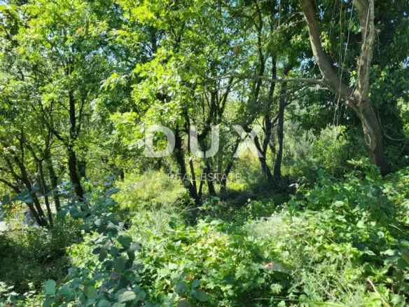 Land In Grožnjan, Croatia (3.092 M²)