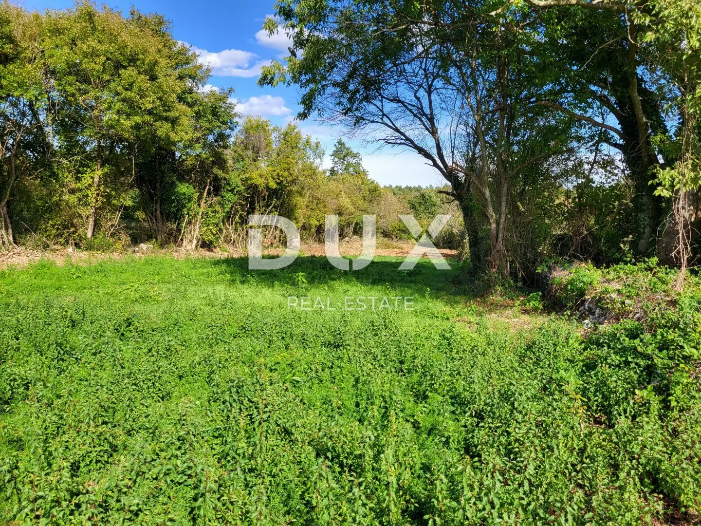 Land In Barban, Croatia (2.041 M²)