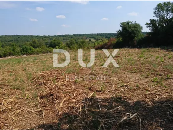 Land In Mrgani, Croatia (8.599 M²)