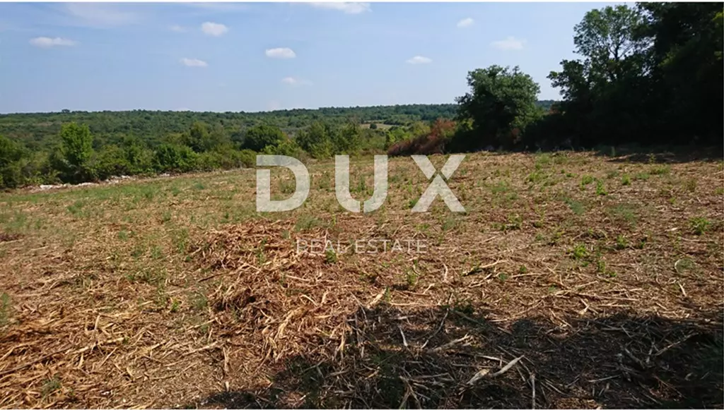 Land In Mrgani, Croatia (8.599 M²)