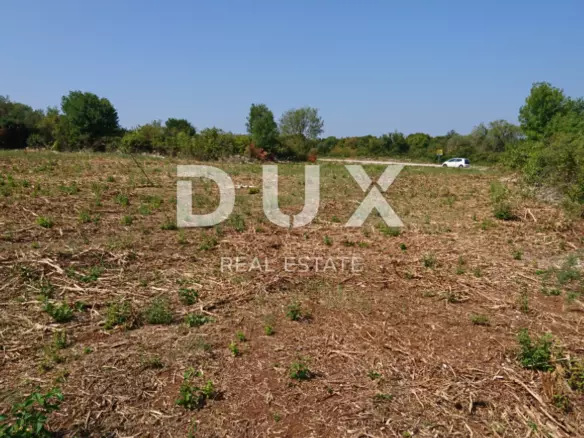 Land In Mrgani, Croatia (8.599 M²)