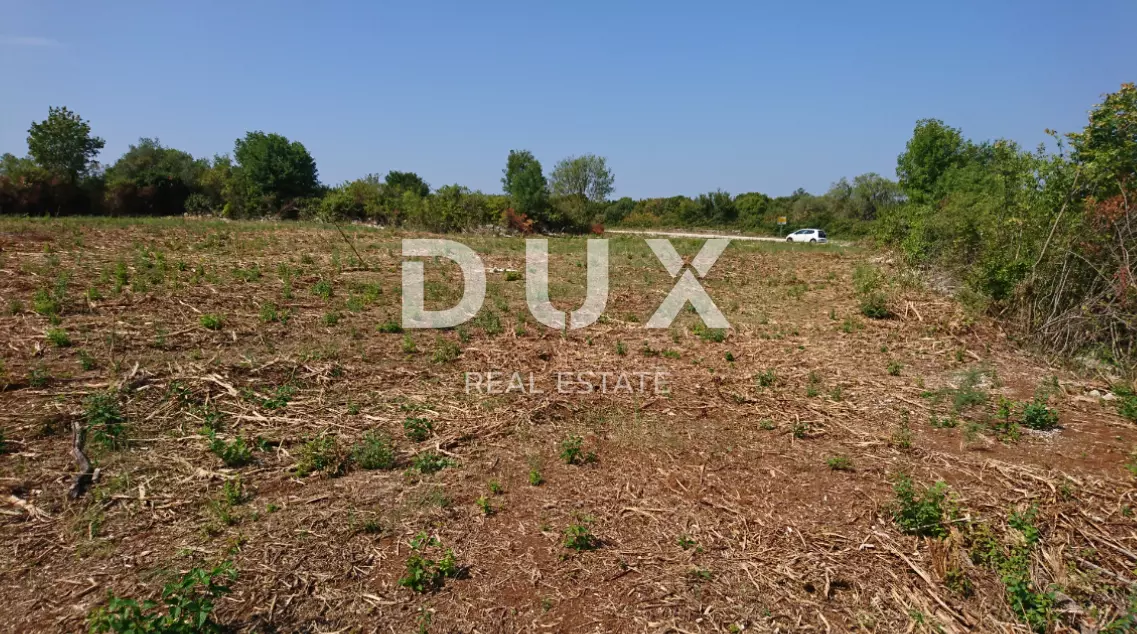 Land In Mrgani, Croatia (8.599 M²)