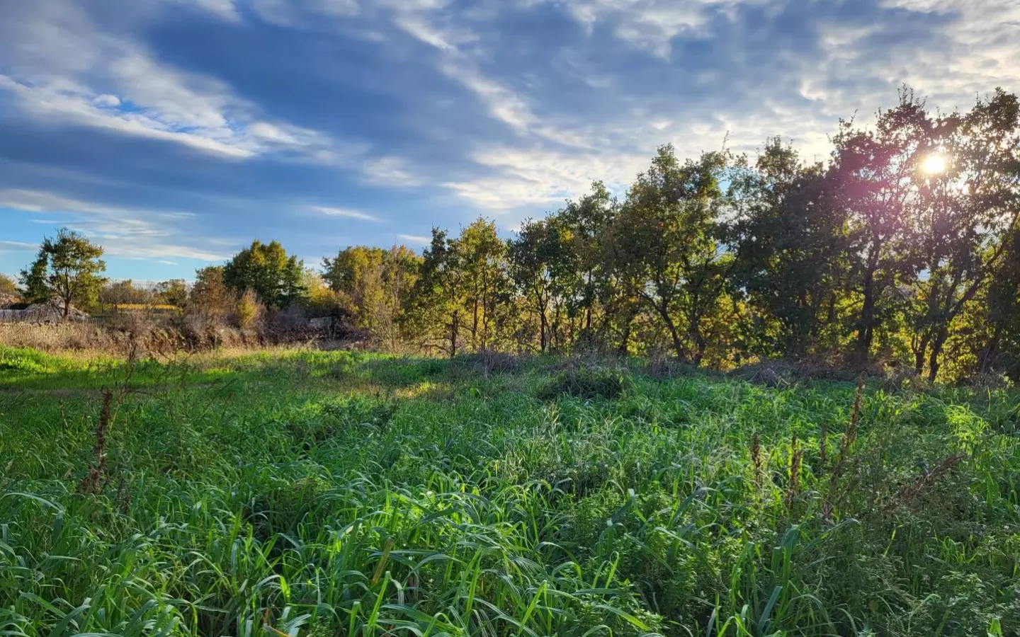 Land In Kanfanar, Croatia (4.375 M²)