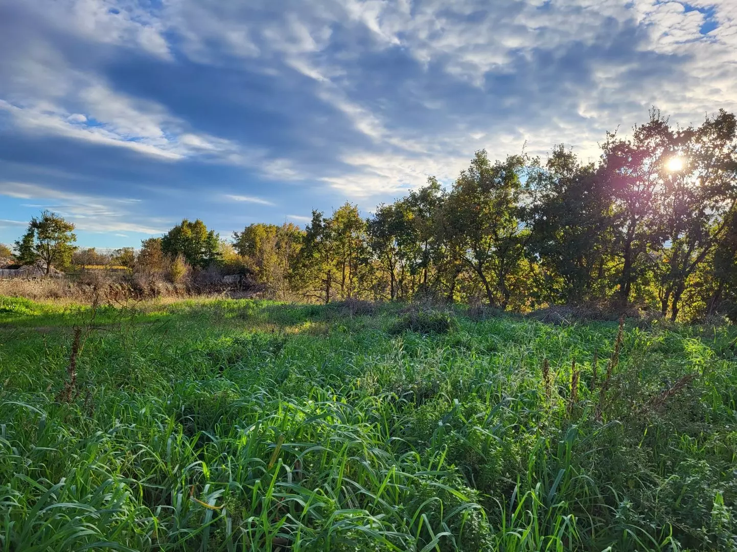 Land In Kanfanar, Croatia (4.375 M²)