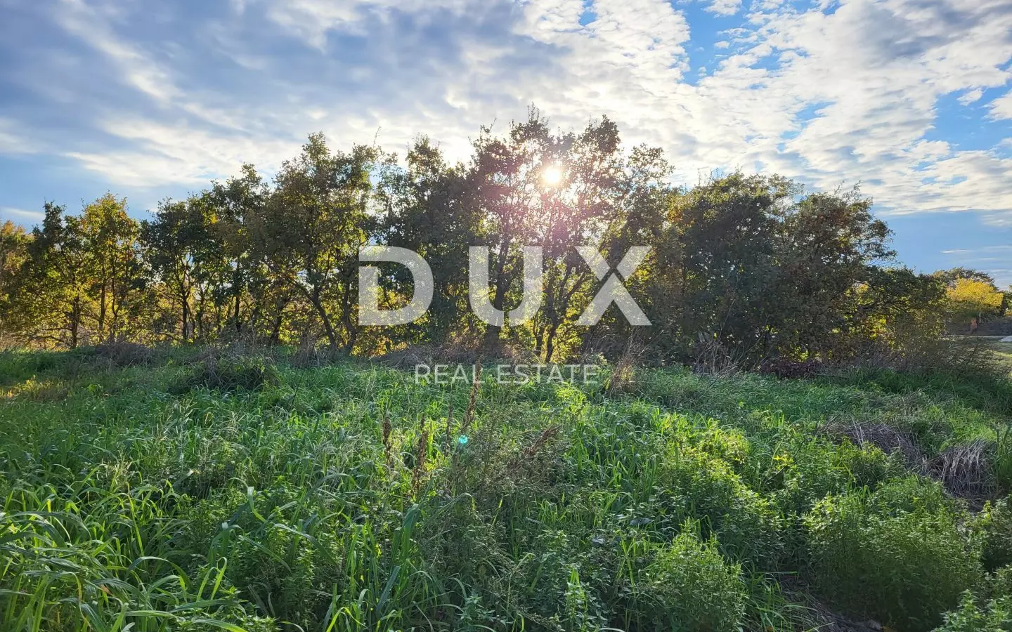 Land In Kanfanar, Croatia (4.375 M²)