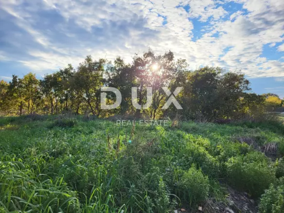 Land In Kanfanar, Croatia (4.375 M²)