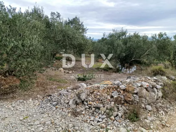 Land In Kukljica, Croatia (1.860 M²)