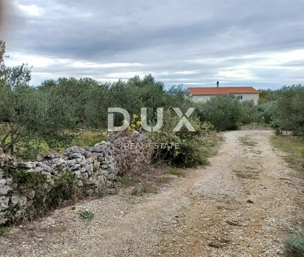 Land In Kukljica, Croatia (1.860 M²)