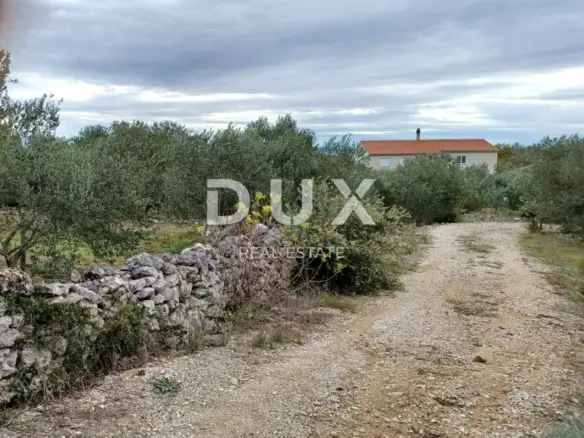 Land In Kukljica, Croatia (1.860 M²)