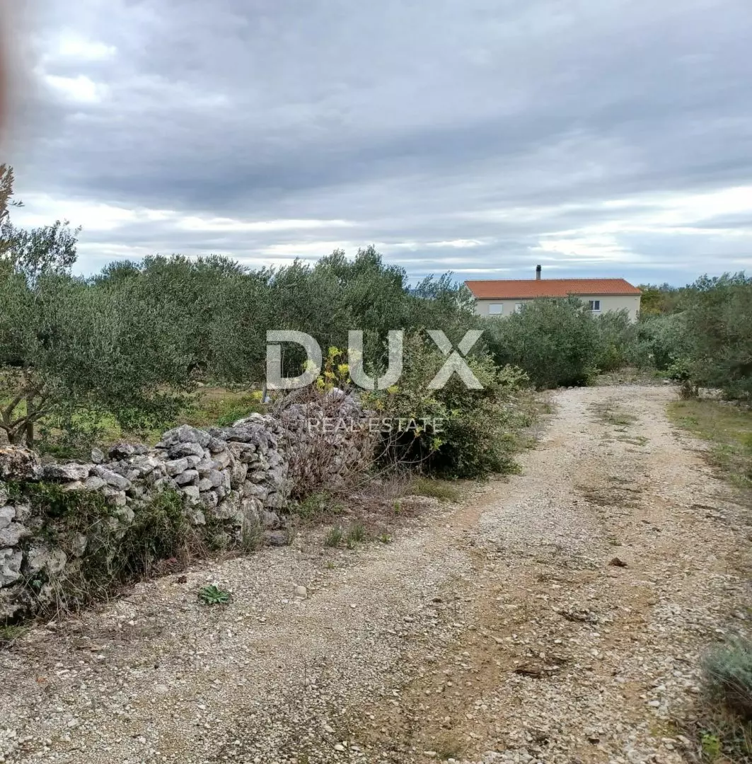 Land In Kukljica, Croatia (1.860 M²)