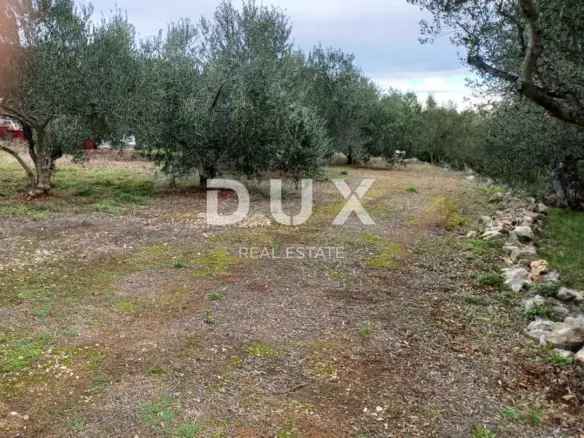 Land In Kukljica, Croatia (1.860 M²)