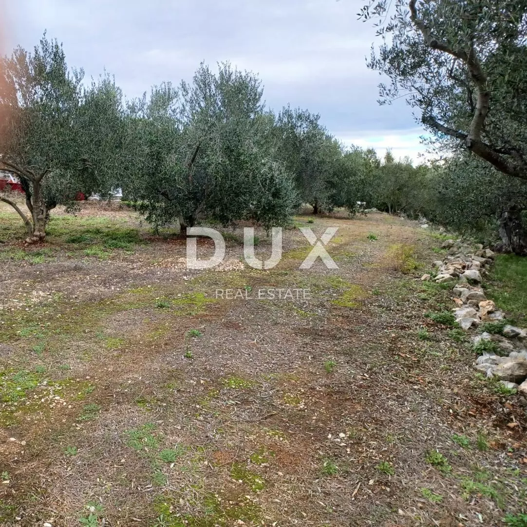 Land In Kukljica, Croatia (1.860 M²)
