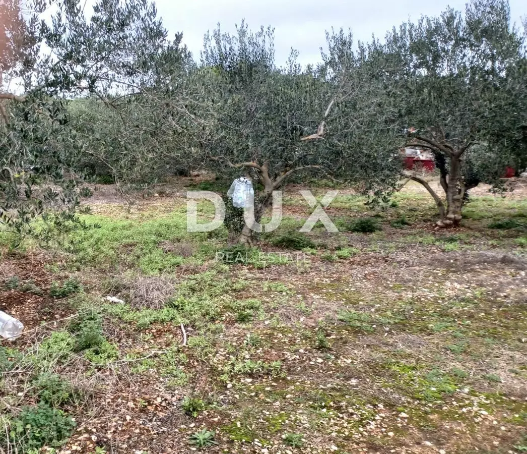 Land In Kukljica, Croatia (1.860 M²)