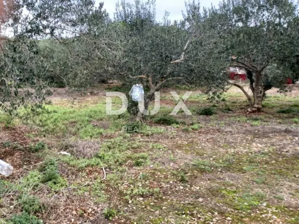 Land In Kukljica, Croatia (1.860 M²)