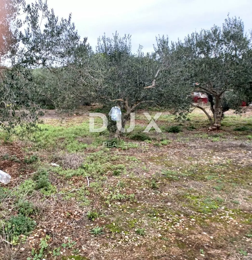 Land In Kukljica, Croatia (1.860 M²)