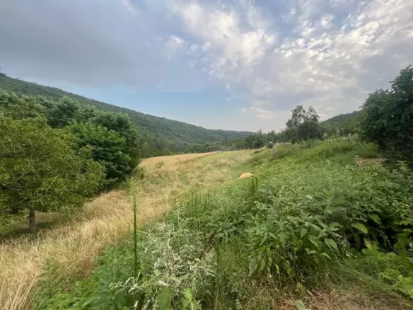 Land In Sovinjak, Croatia (57.356 M²)