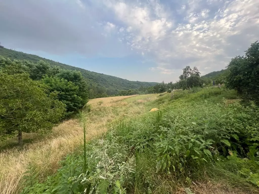 Land In Sovinjak, Croatia (57.356 M²)