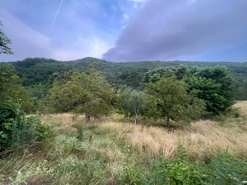 Land In Sovinjak, Croatia (57.356 M²)