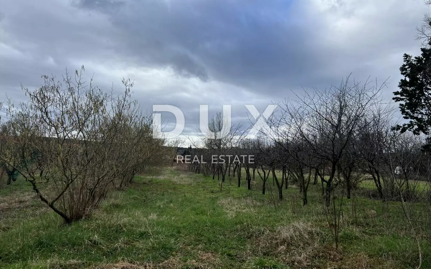 Land In Kršan, Croatia (5.065 M²)