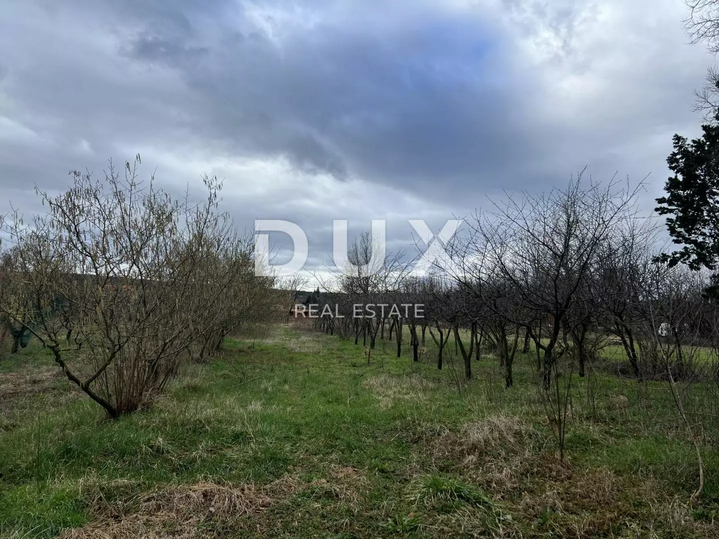 Land In Kršan, Croatia (5.065 M²)