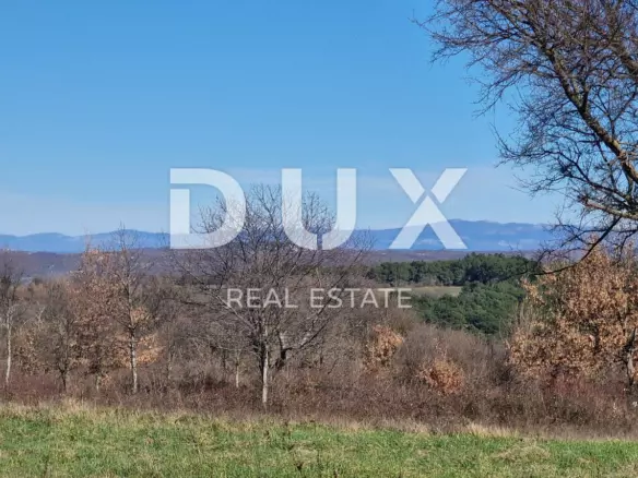 Land In Barban, Croatia (1.188 M²)