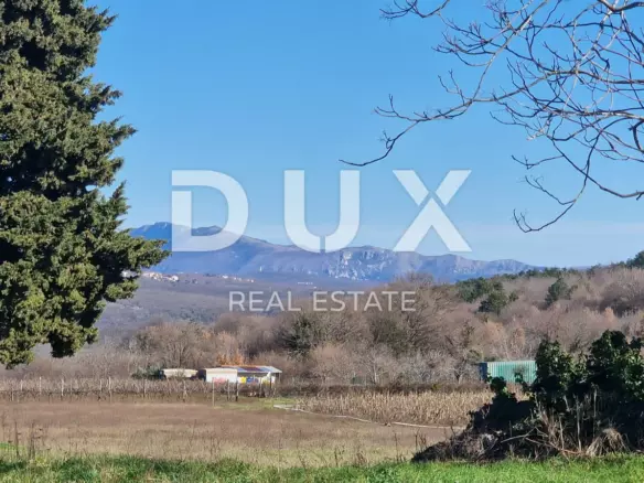 Land In Barban, Croatia (1.308 M²)