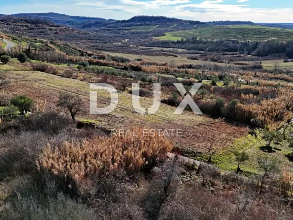 Land In Buje, Croatia (1.036 M²)