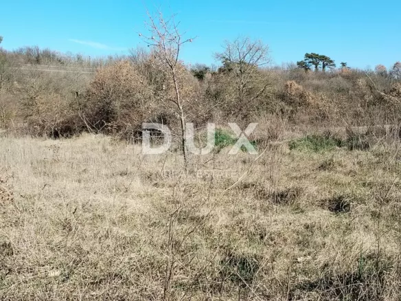 Land In Svetvinčenat, Croatia (3.486 M²)