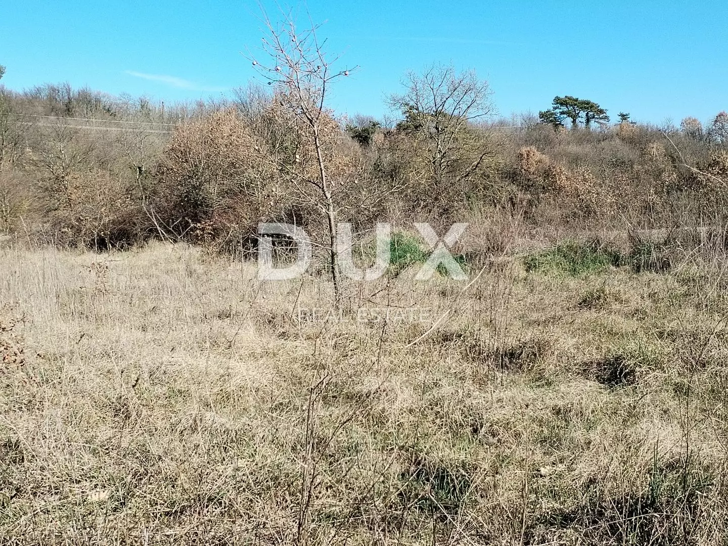 Land In Svetvinčenat, Croatia (3.486 M²)