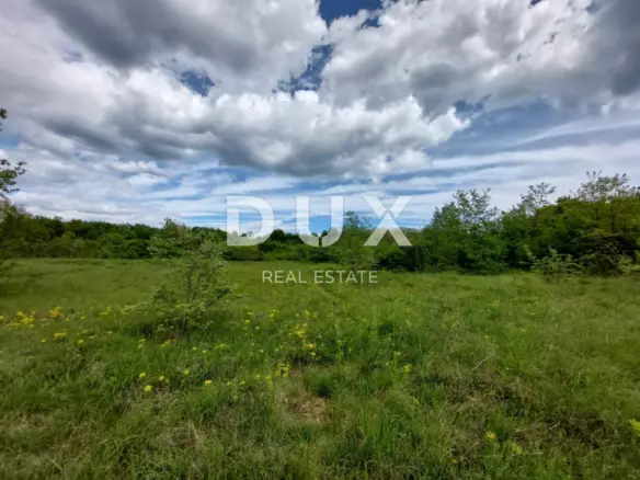 Land In Labin, Croatia (11.116 M²)