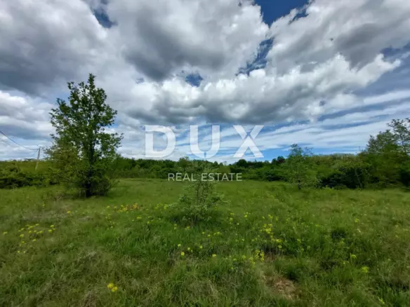 Land In Labin, Croatia (11.116 M²)