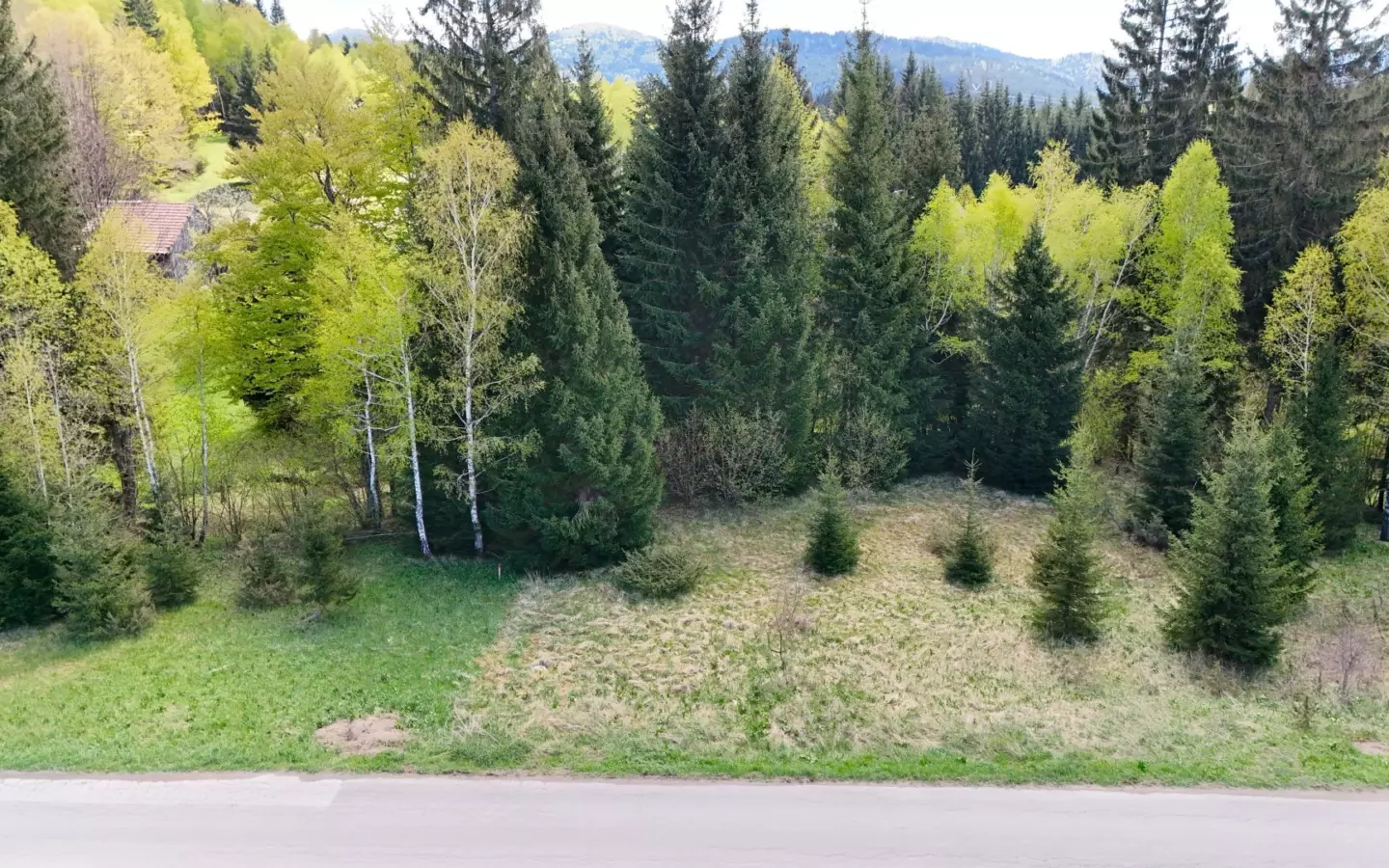 Land In Ravna Gora, Croatia (1.553 M²)