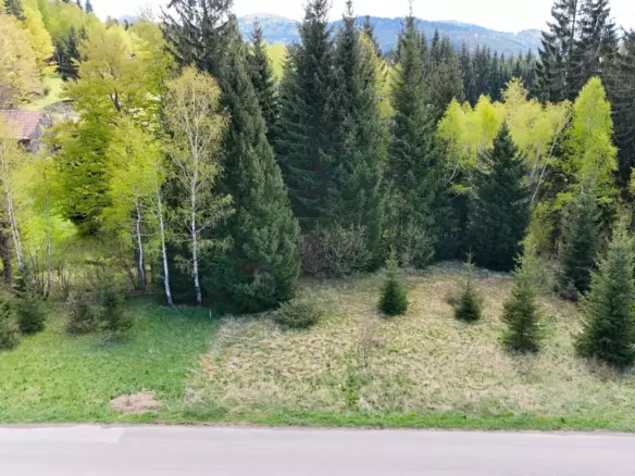 Land In Ravna Gora, Croatia (1.553 M²)