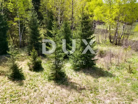 Land In Ravna Gora, Croatia (1.553 M²)